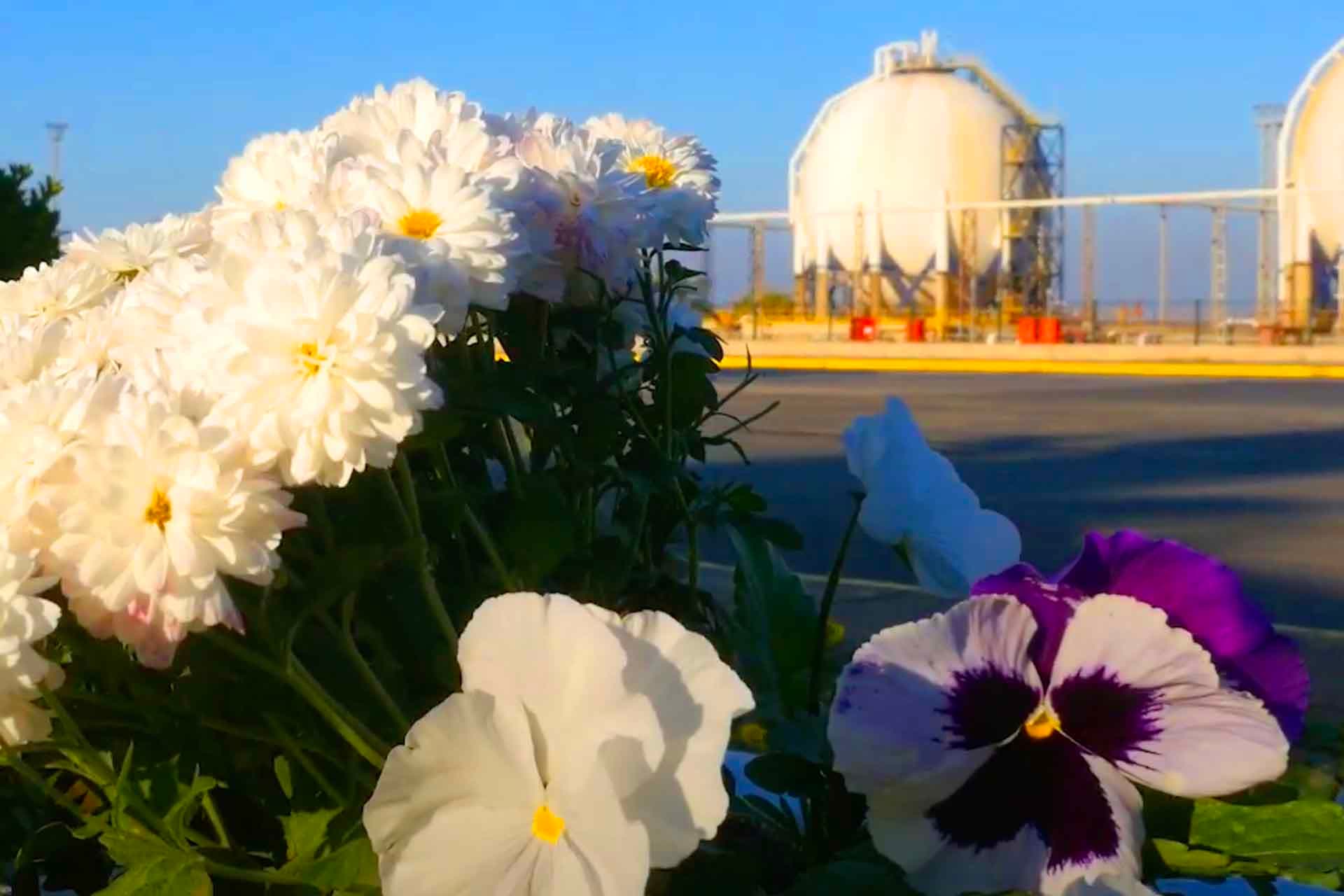 TÜPRAŞ İZMİR EBSO - Kurumsal Film projesi, Ocakcolor Medya
